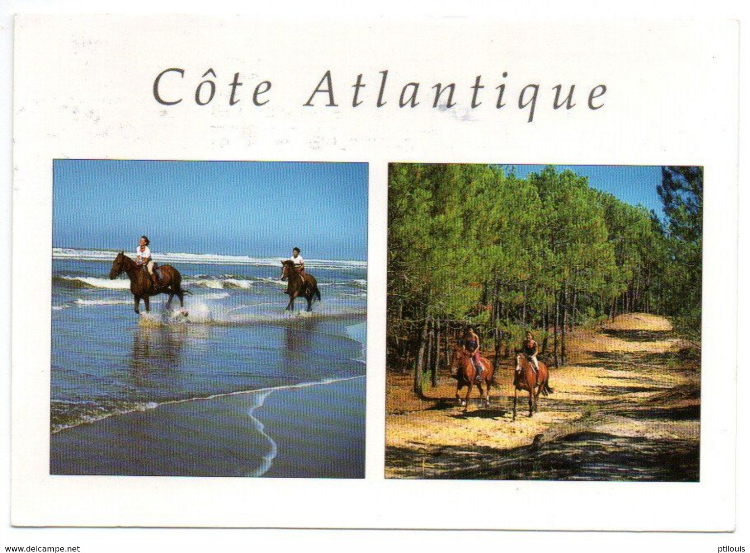 Côte Atlantique - Cavaliers En Bord De Mer Et En Forêt.... - Poitou-Charentes