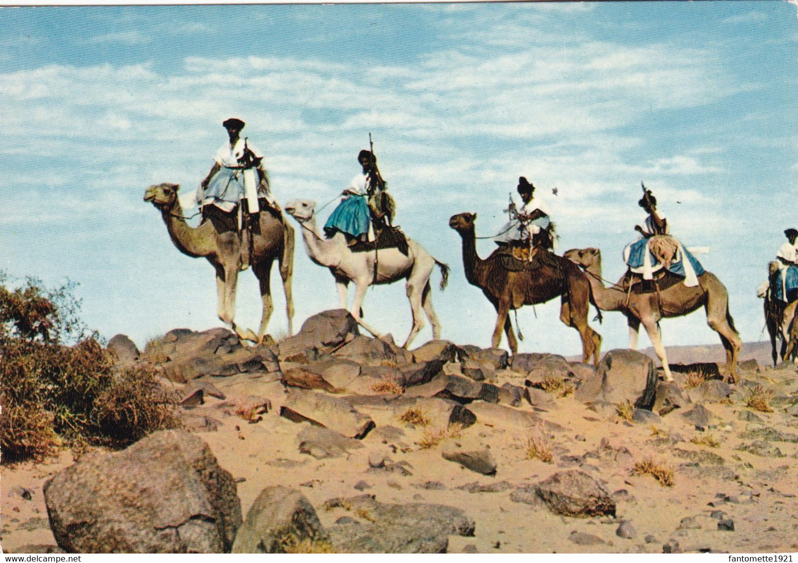 MAURITANIE  MEHARISTES (ANA) - Mauretanien