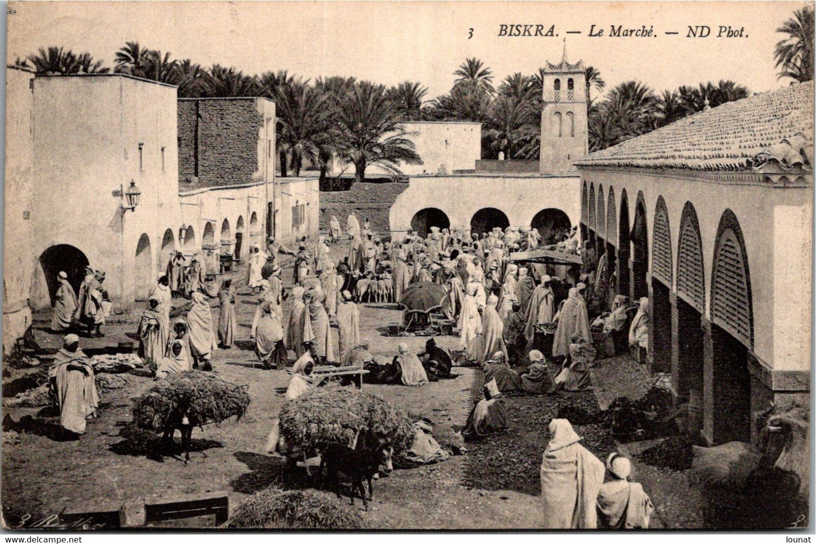 BISKRA - Le Marché - Biskra