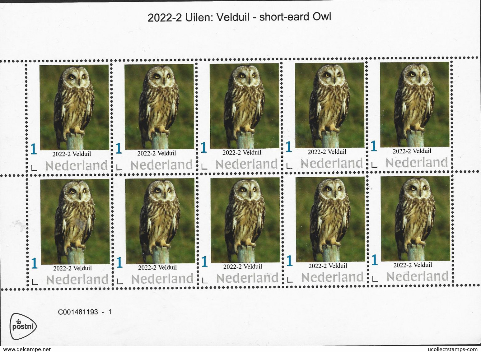 Nederland  2022-2   Uilen - Velduil   Long-eared Owl  Sheetlet     Postfris/mnh/neuf - Unused Stamps