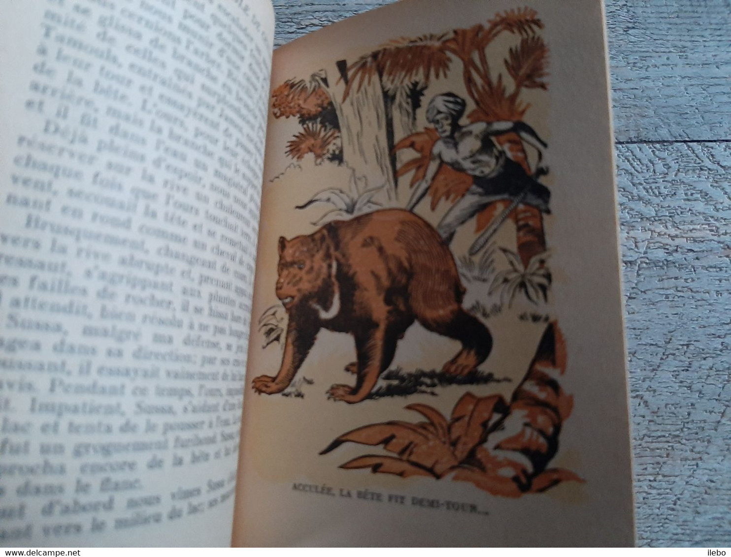 Dans La Jungle De Ceylan Heinz Randow Hachette Illustré Dimpre Aventure Enfantina 1952 - Hachette