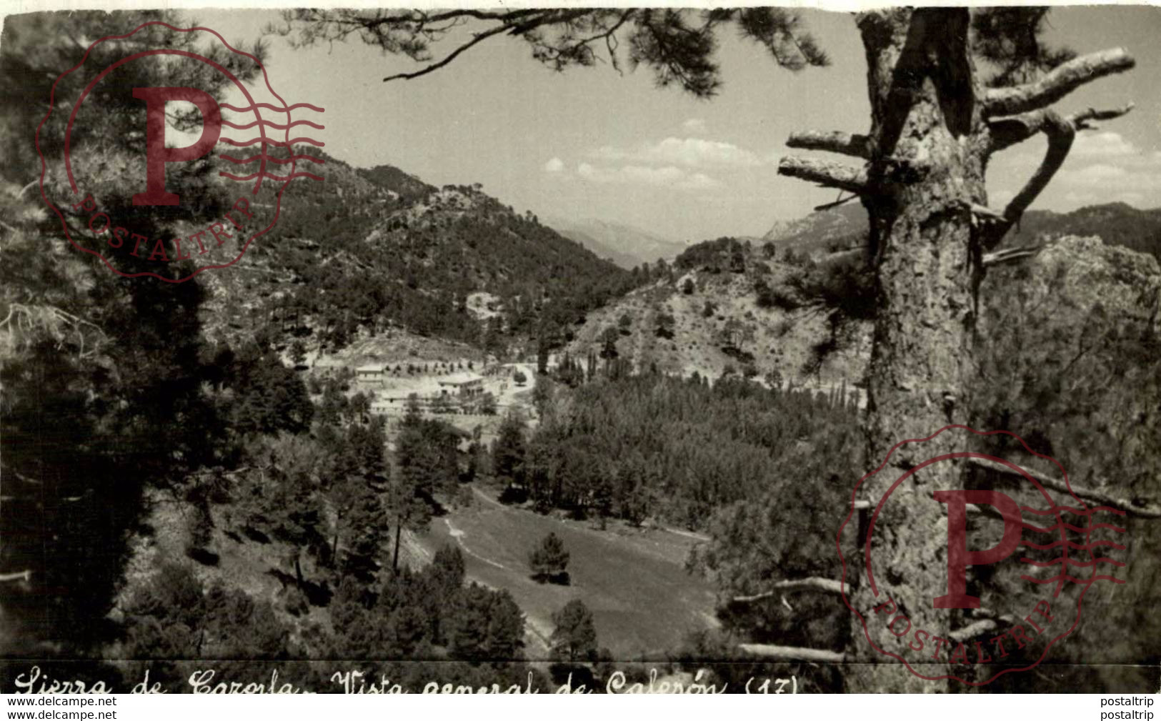 CAZORLA, JAEN, VISTA GENERAL DE CALERON, FOTOGRAFICA, SAN ANTONIO - Jaén