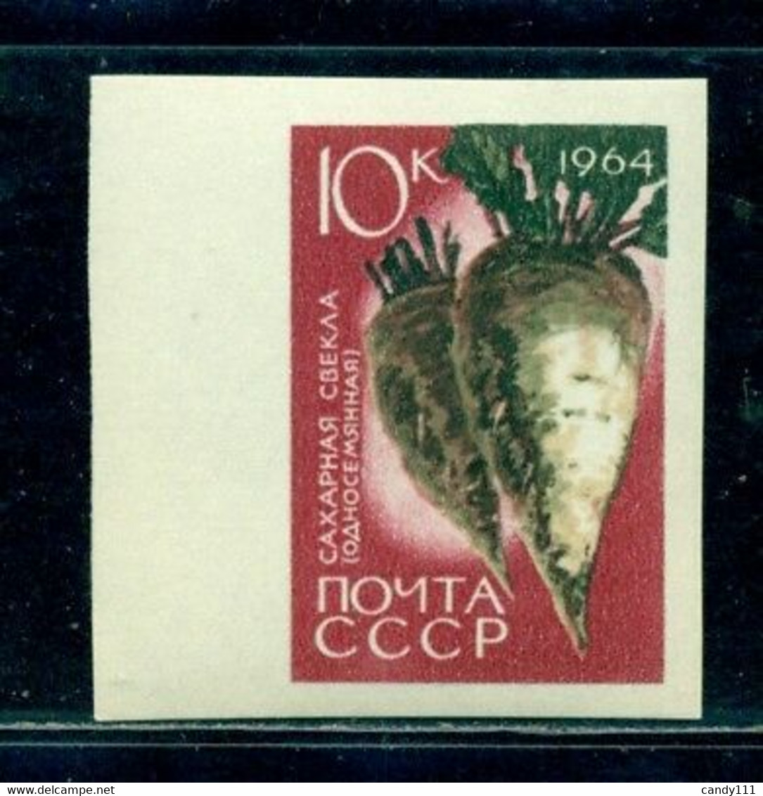 Russia 1964 Sugar Beet Zuckerrube/beta Vulgaris Altissima, Mi. 2926 B,MNH - Groenten