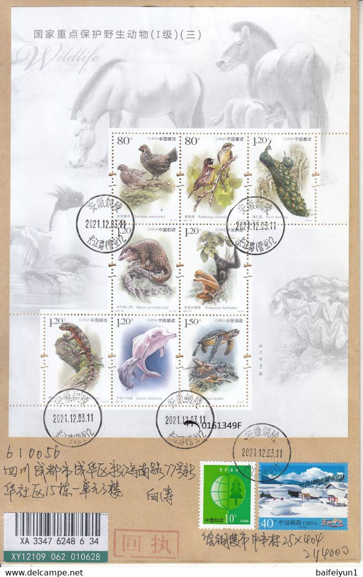 CHINA 2021-28 Important 1st Class Wildlife(III) Bird Animals Sheet Entired FDC A - 2020-…