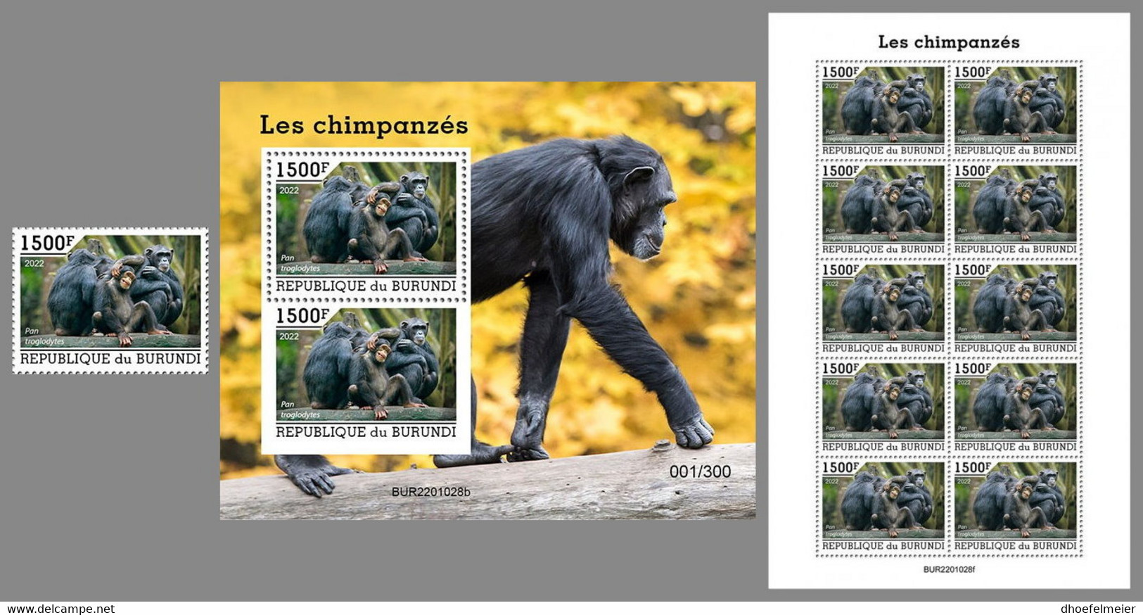 BURUNDI 2022 MNH Chimpanzees Schimpansen Chimpanzes SET - IMPERFORATED - DHQ2207 - Chimpanzees