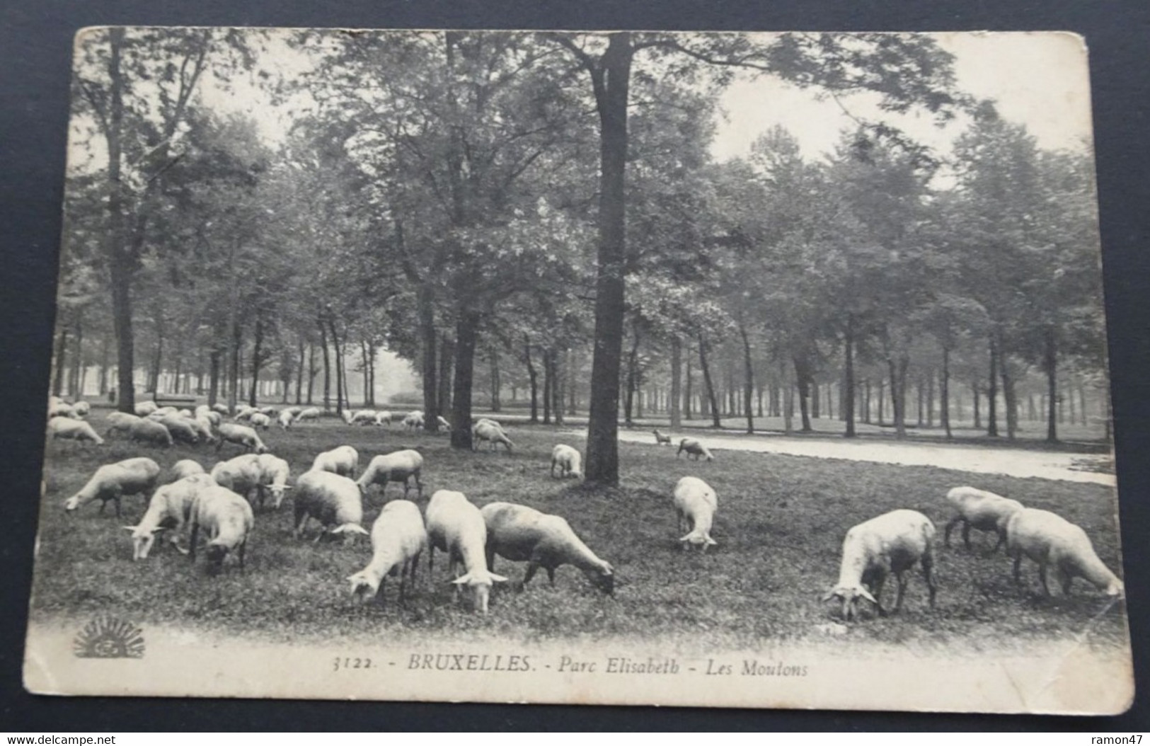 Bruxelles - Parc Elisabeth - Les Moutons - Koekelberg