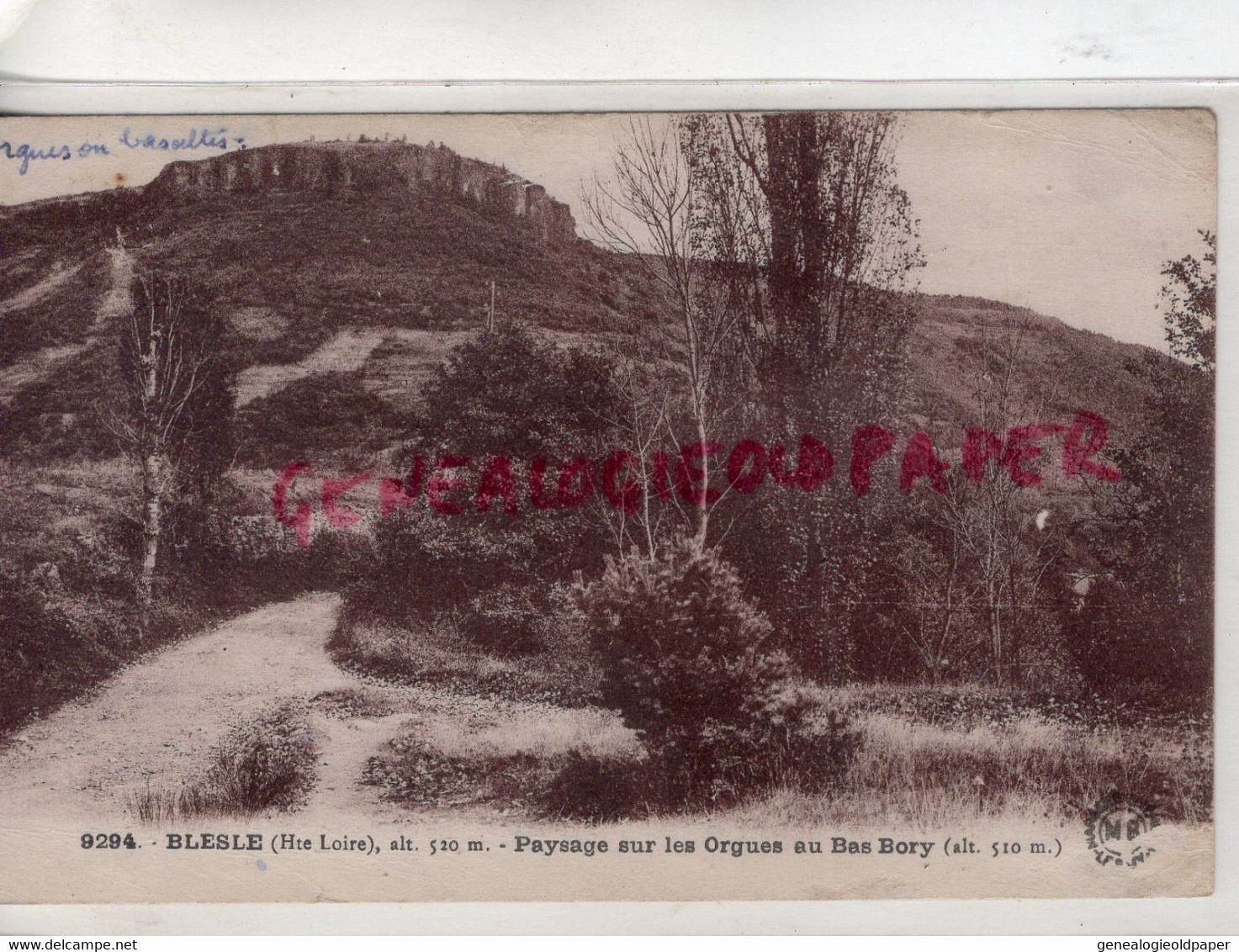 43-  BLESLE - PAYSAGE SUR LES ORGUES AU BAS BORY - Blesle