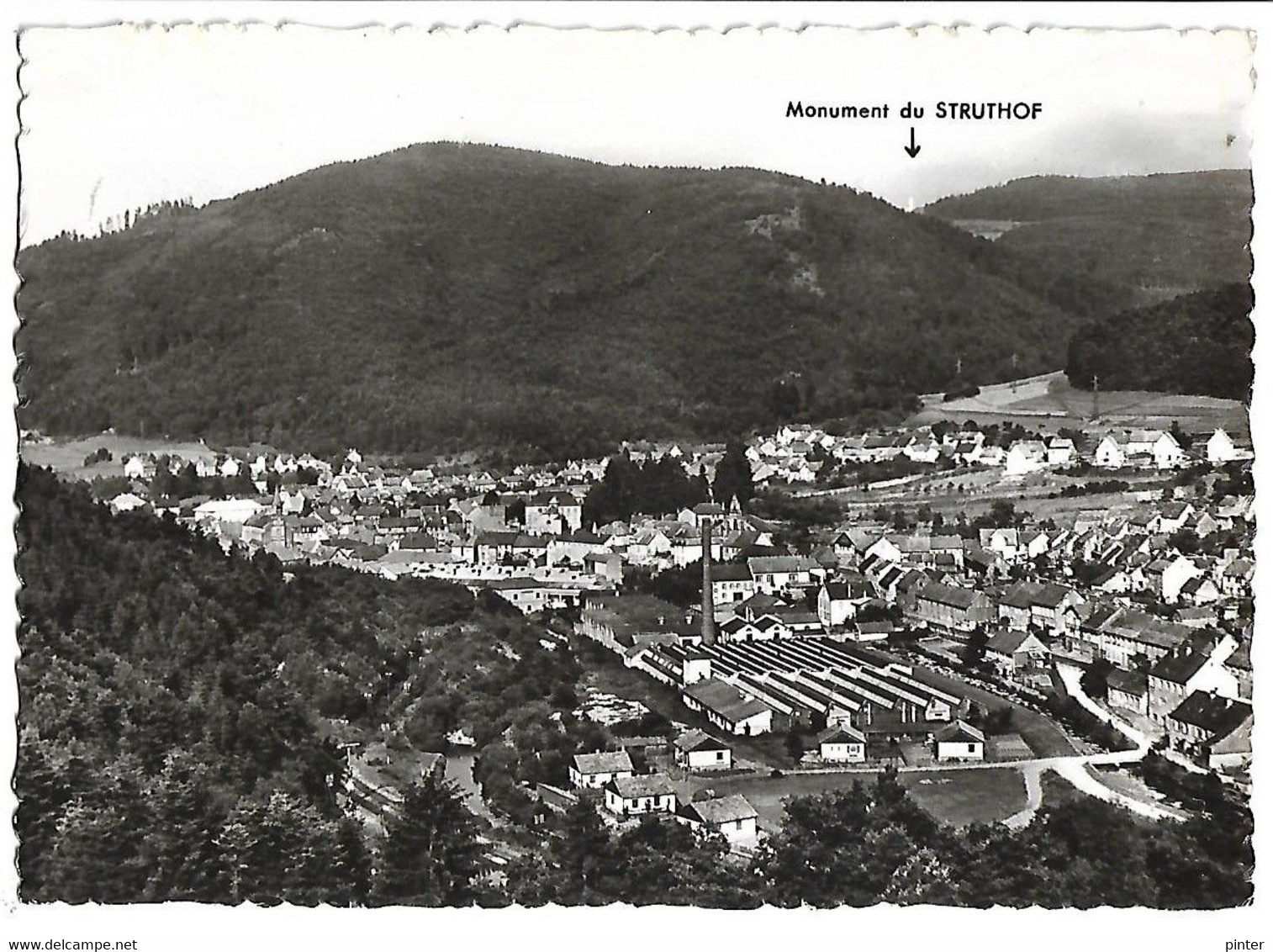 ROTHAU - Vue Générale - Rothau