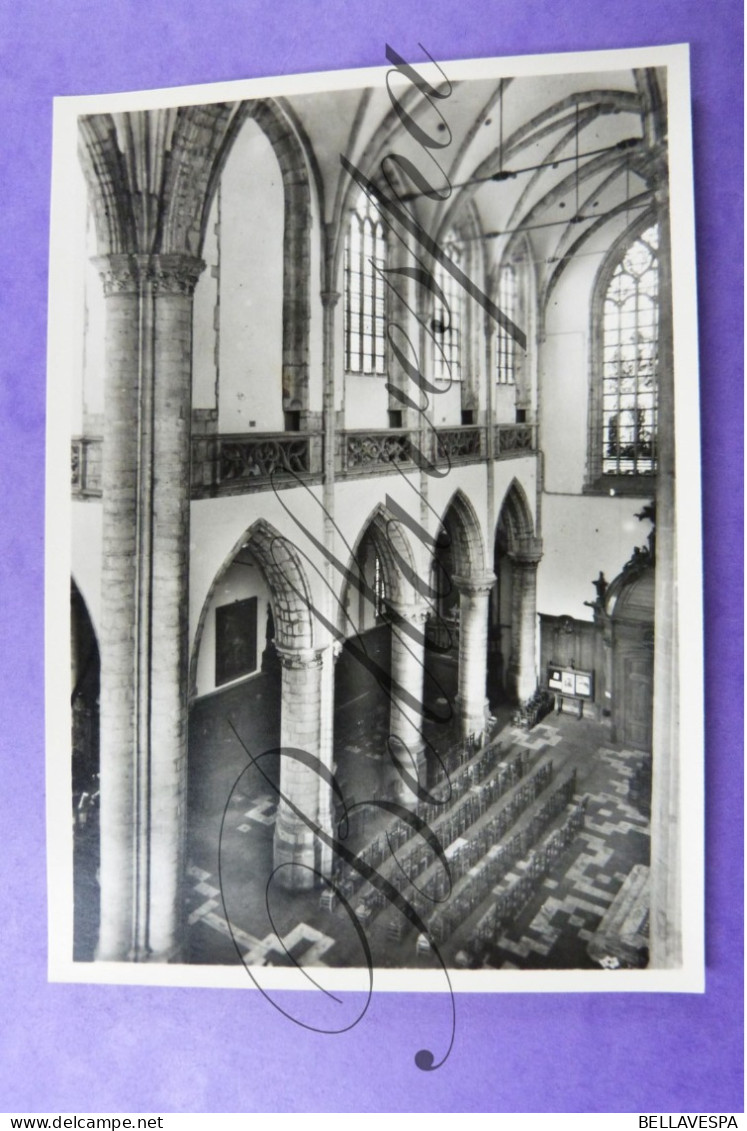 Aalst Lot x 17 fotokaarten carte photo Sint-Martinuskerk