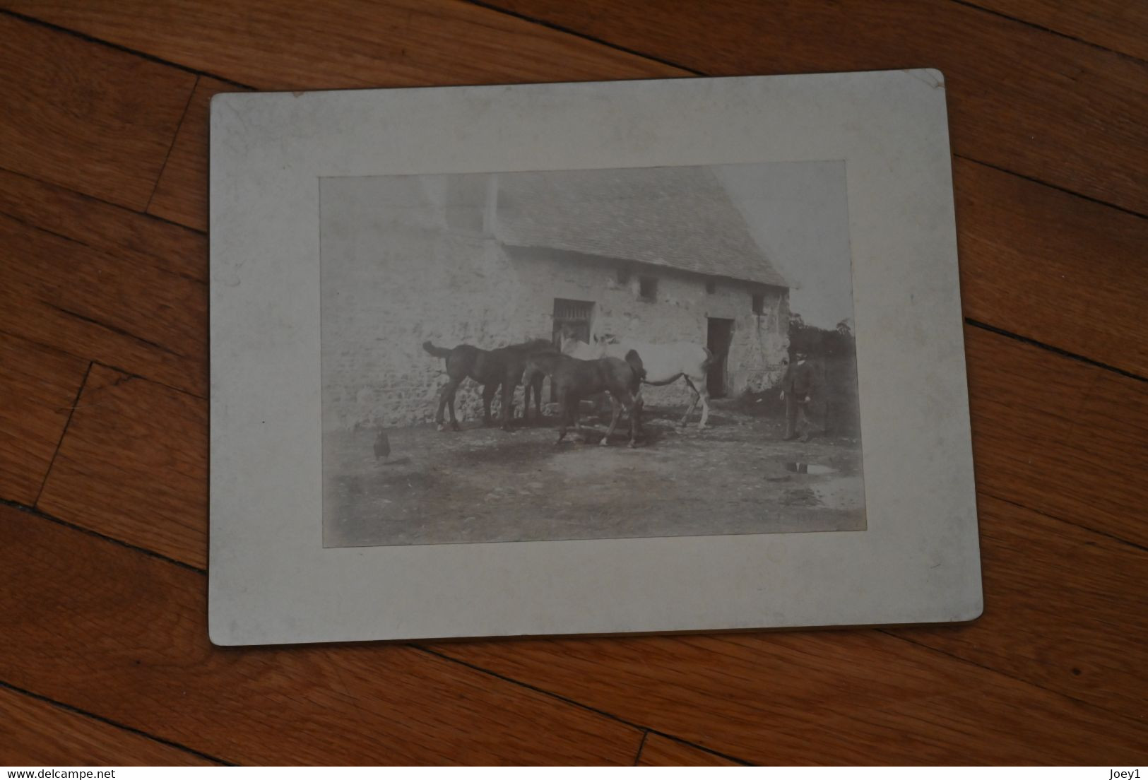 Photo Chevaux Devant Une Ferme, Albuminée Contre Collée, Format 17/12 - Anciennes (Av. 1900)