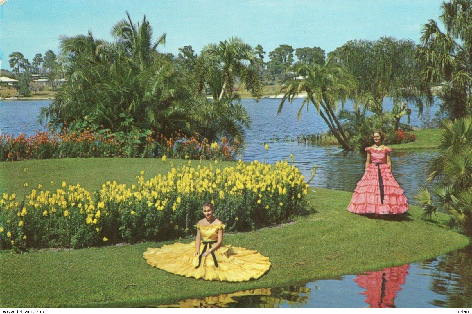 BLOSSOM TIME , THAUSANDS OF TROPICAL BLOSSOMS , FLORIDA - Naples