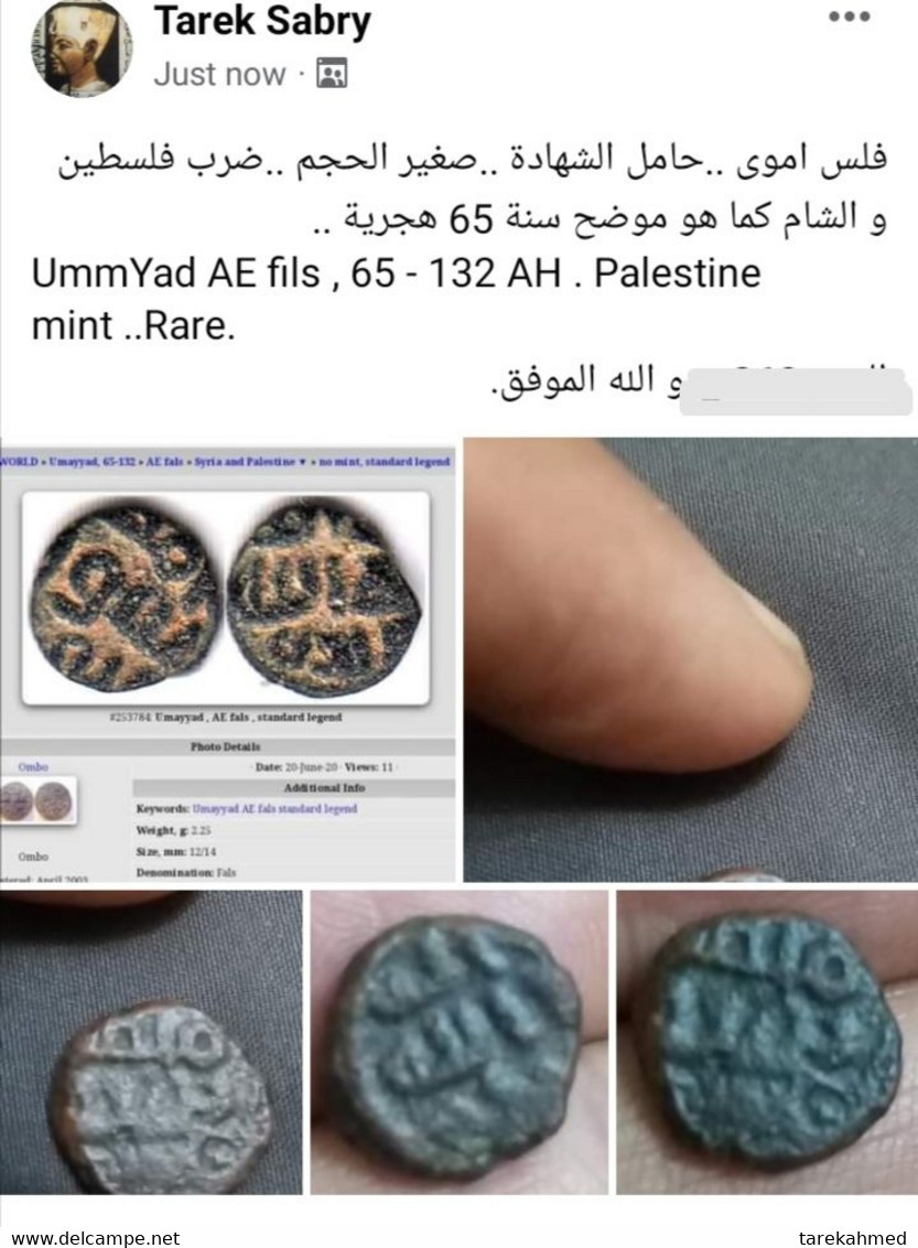 Ummyad AE Fils , 65 - 132 AH . Palestine Mint ..Rare. Gomaa - Islamiques