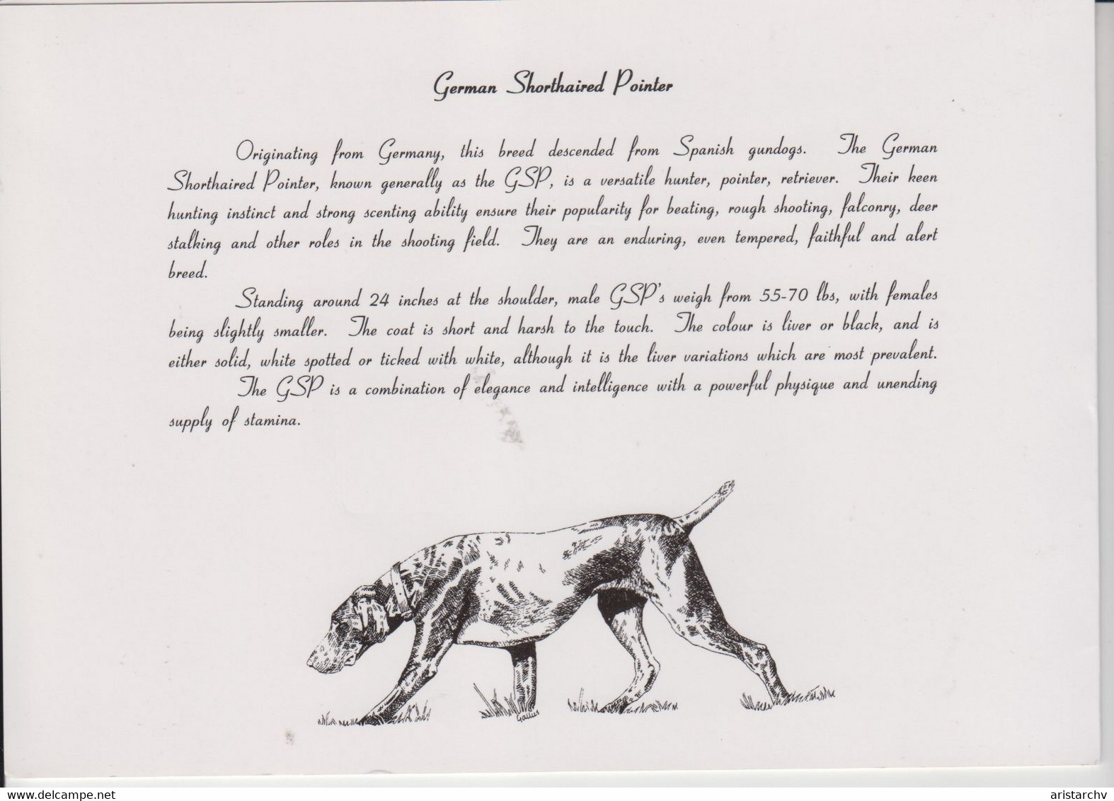 UNITED KINGDOM 1993 GERMAN SHORTHAIRED POINTER MINT IN FOLDER - BT Ensembles De Collection