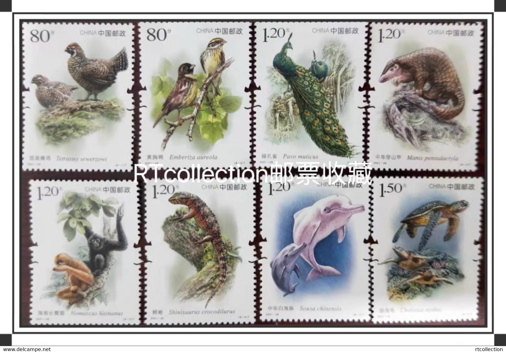 China 2021 Set National Key Protected Wild Animals Birds Bird Peacock Peacocks Mammals Monkeys Gibbon Stamps MNH 2021-28 - Pauwen