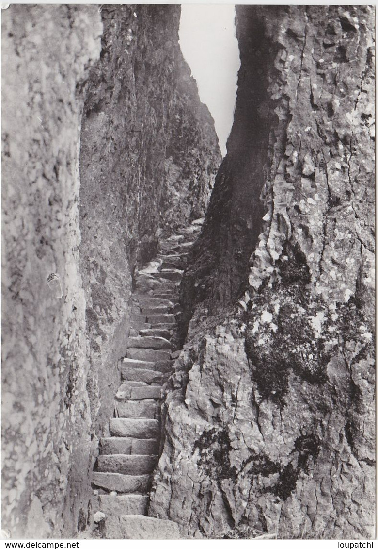 CARLAT L' Escalier De La Reine - Carlat
