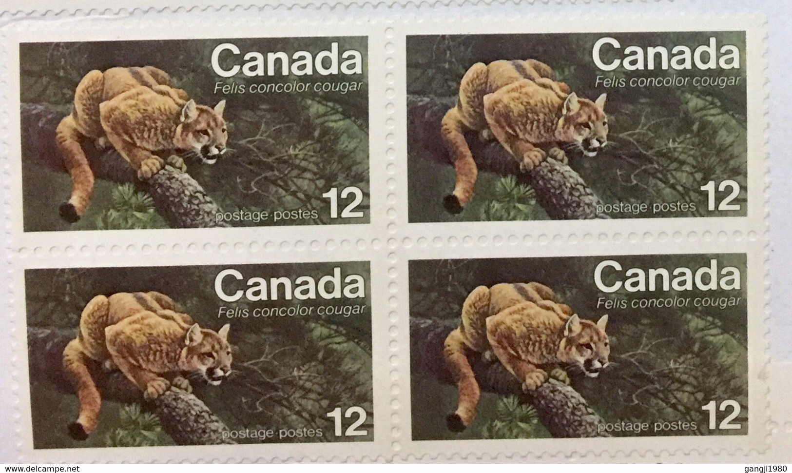 CANADA 2020, CORONA VIROES PERIOD 15 STAMPS ON COVER ALL WITHOUT CANCELLATION,ART PAINTING,NATURE ,LEOPARD,ANIMAL,QUEEN, - Briefe U. Dokumente