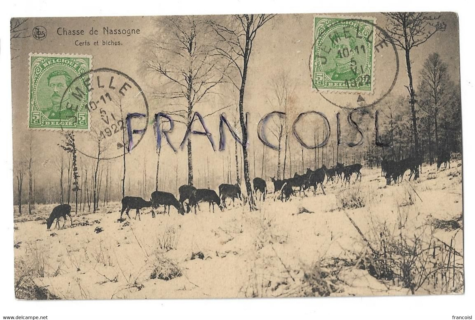 Chasse De Nassogne. Cerfs Et Biches. - Nassogne