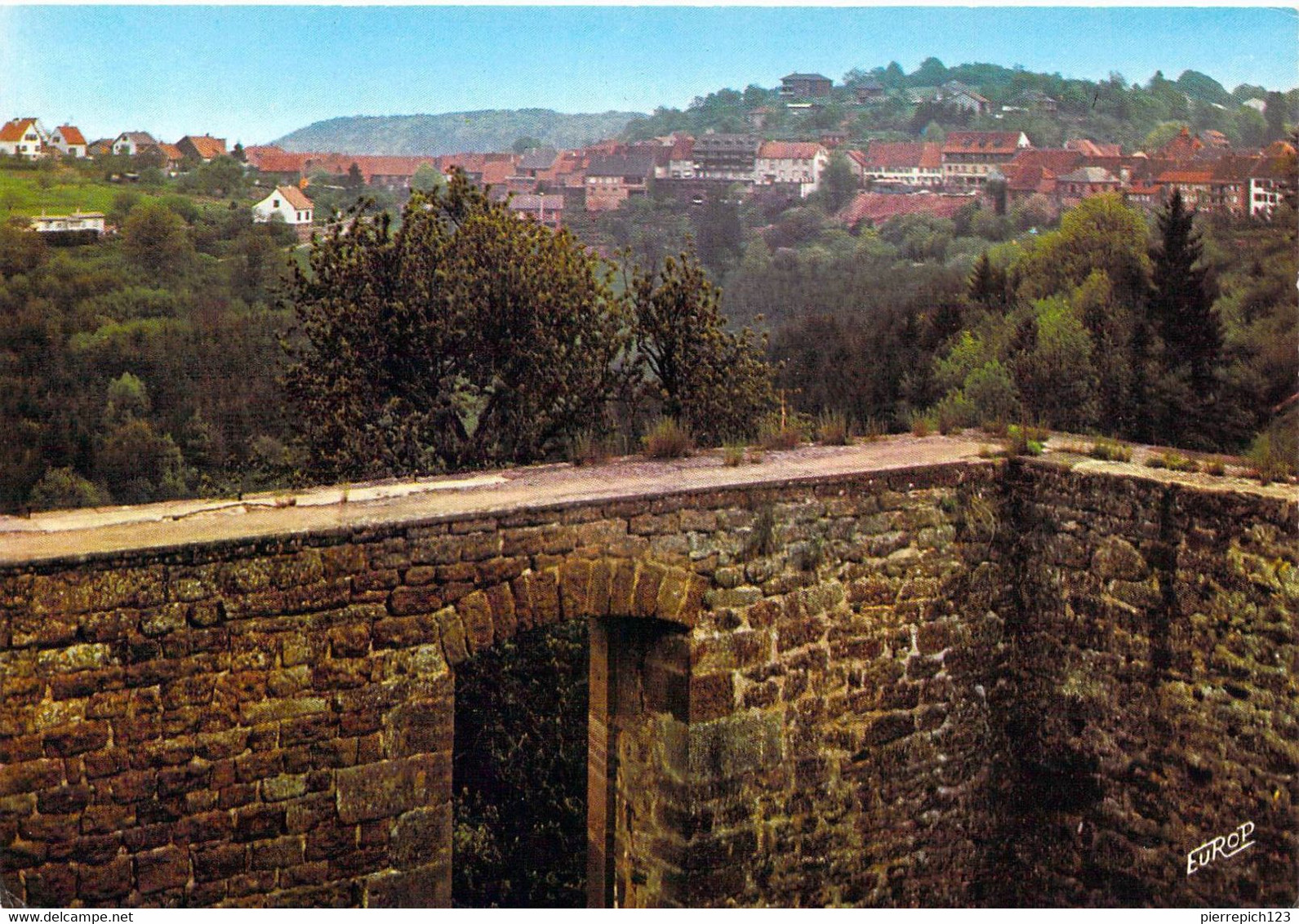 67 - La Petite Pierre - Vue Du Château - La Petite Pierre