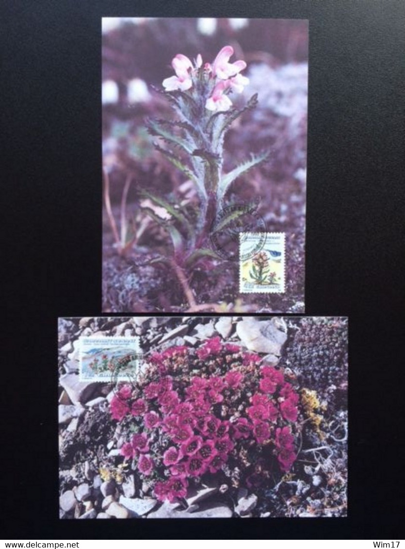 GREENLAND 1992 FLOWERS MAXIMUM CARD MI 223/24 GRONLAND GROENLAND BLOEMEN - Maximumkaarten