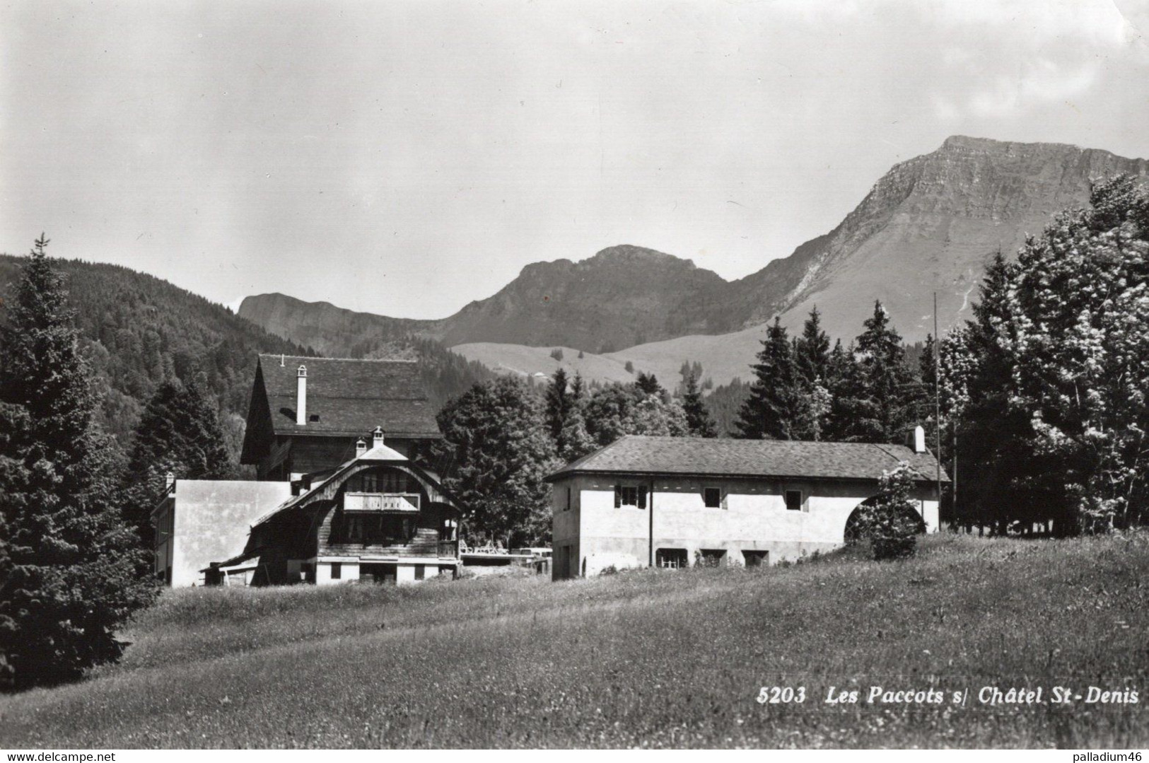 FRIBOURG LES PACCOTS CHATEL ST DENIS   - Photo Metzger Lausanne No 5203 - Circulé - Châtel-Saint-Denis