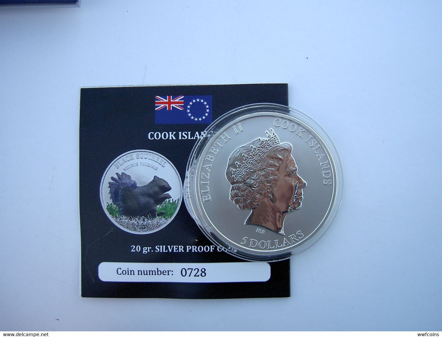 COOK ISLANDS 5 $ 2013 ARGENTO SILVER BLACK SQUIRREL BEAUTIES SCOIATTOLO MINTAGE 999 PCS PESO 20g TITOLO 0,925 CONSERVAZI - Cook