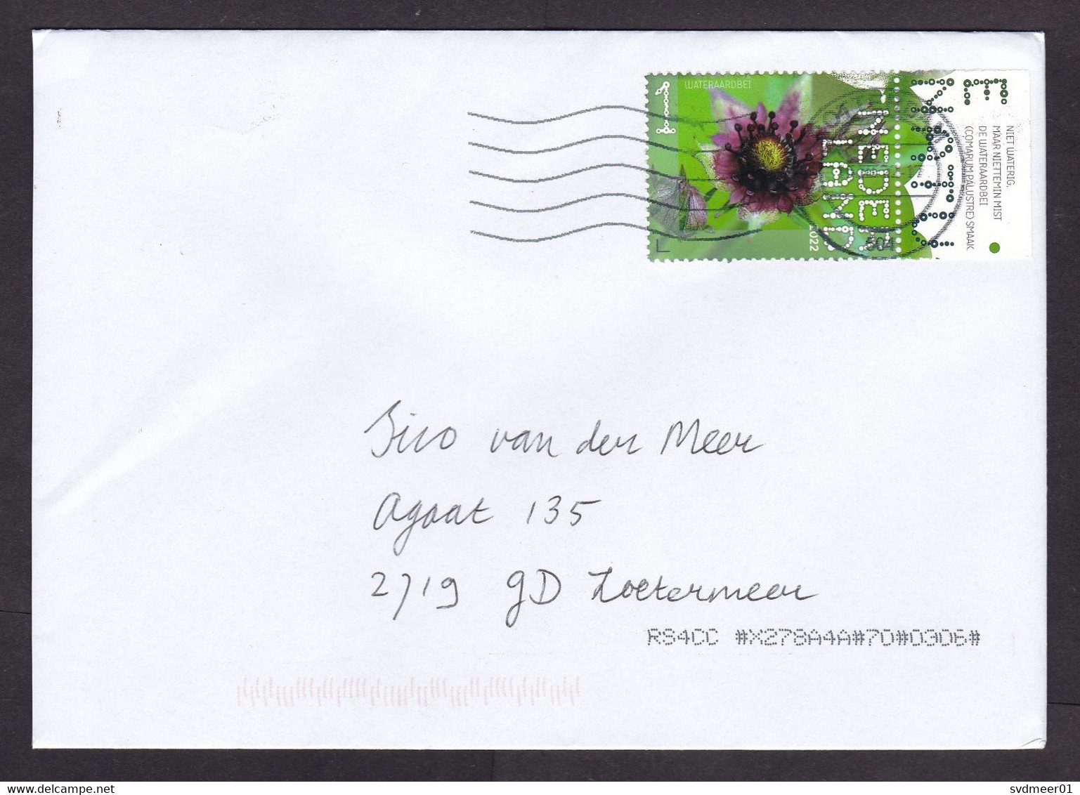 Netherlands: Cover, 2022, 1 Stamp + Tab, Water Strawberry Flower (traces Of Use) - Covers & Documents