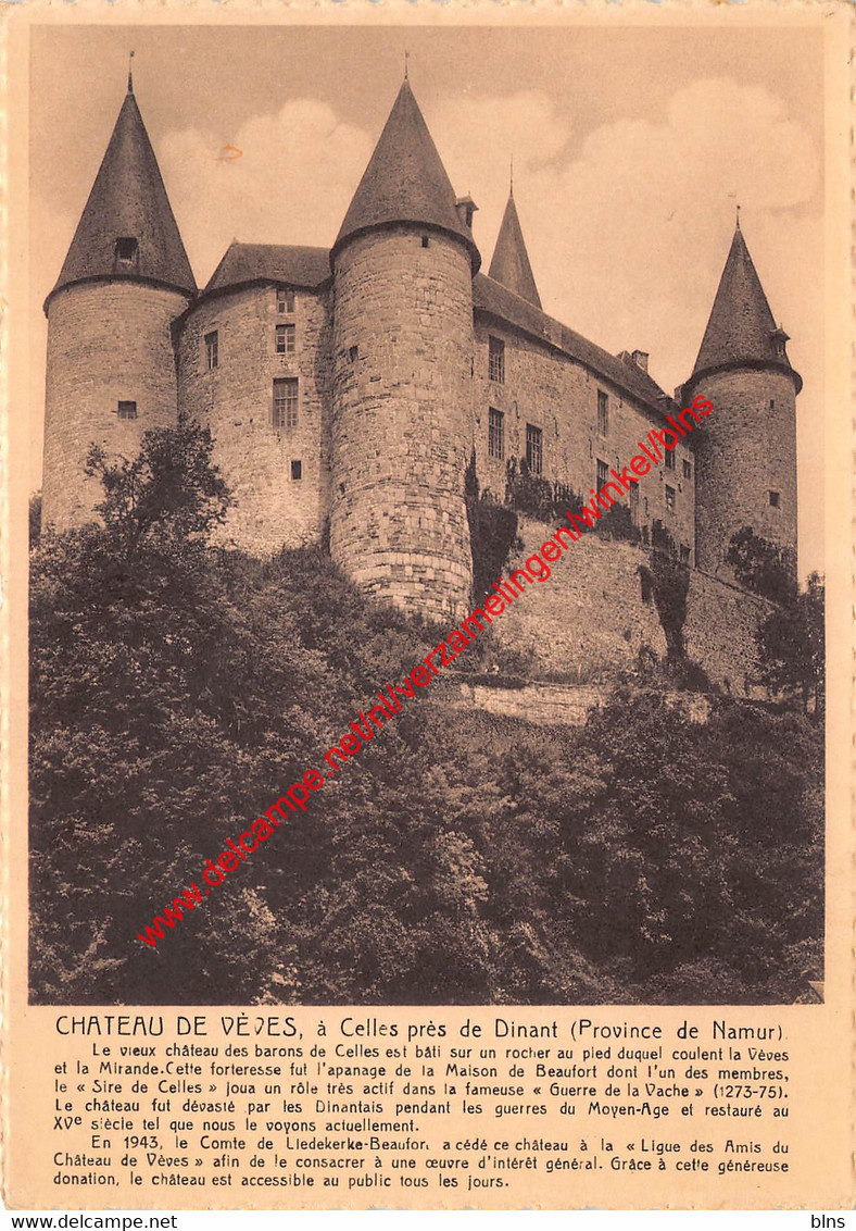 Château De Vèves - Celles - Celles