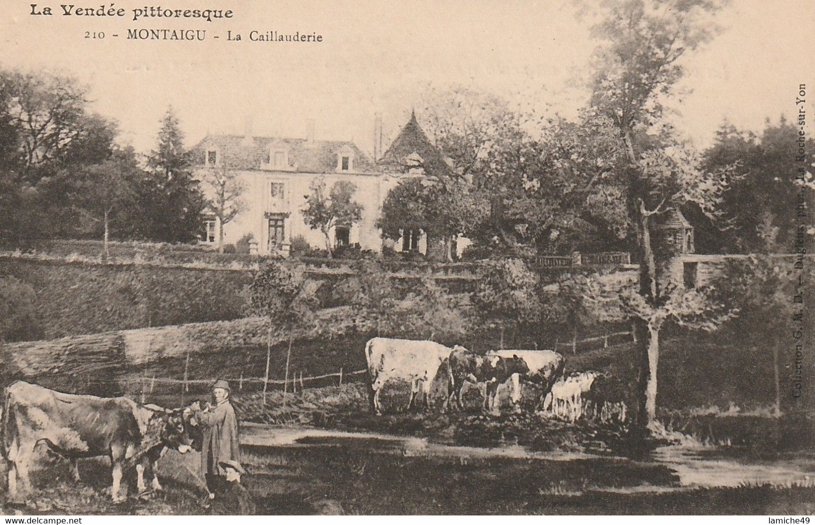 MONTAIGU LA CAILLAUDERIE ( Vaches Berger Fermier ) - Montaigu