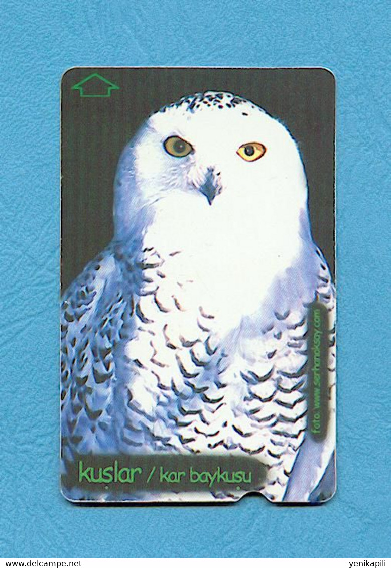 ( 5636 ) - Télécarte TURQUIE - ( Oiseau HIBOU & CHOUETTE ) - *** EC *** - Voir Scan - Eulenvögel