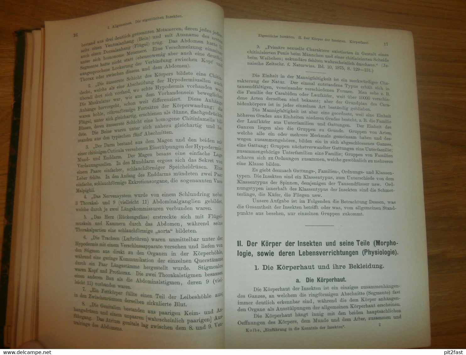 Einführung in die Kenntnis der Insekten , 1893 , H.J. Kolbe , kgl. Museum der Naturkunde , Insektenkunde ,Entomologie !!