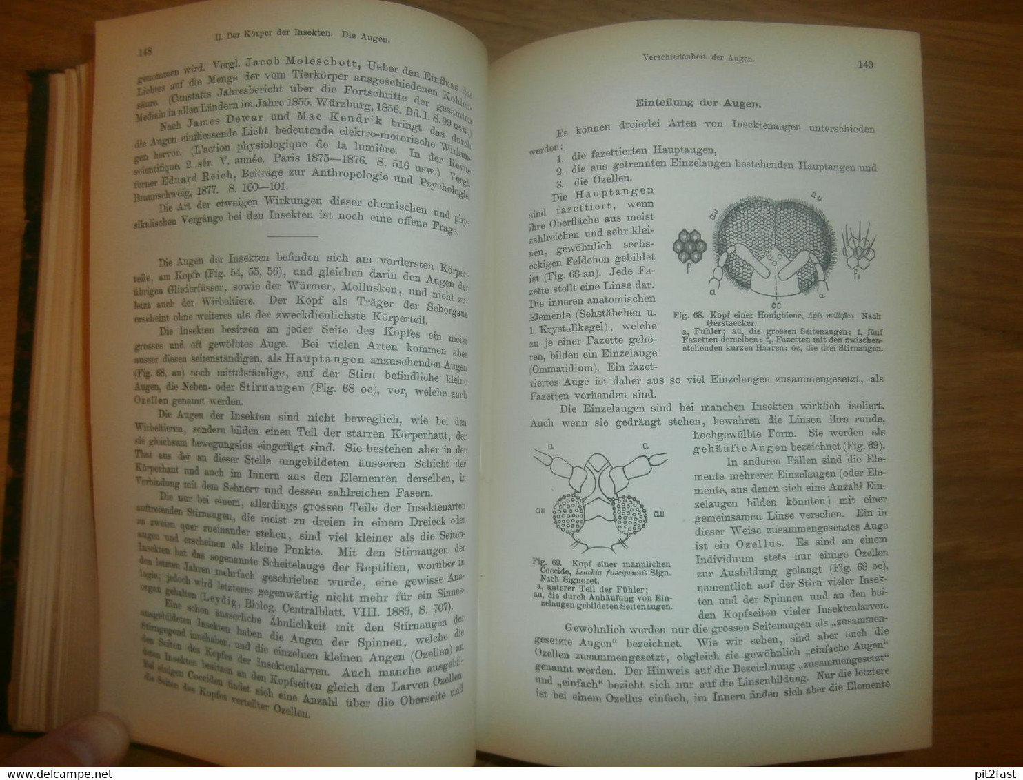 Einführung in die Kenntnis der Insekten , 1893 , H.J. Kolbe , kgl. Museum der Naturkunde , Insektenkunde ,Entomologie !!