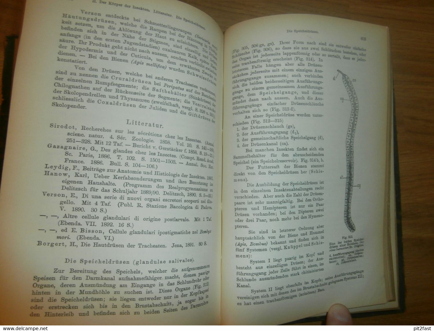 Einführung in die Kenntnis der Insekten , 1893 , H.J. Kolbe , kgl. Museum der Naturkunde , Insektenkunde ,Entomologie !!