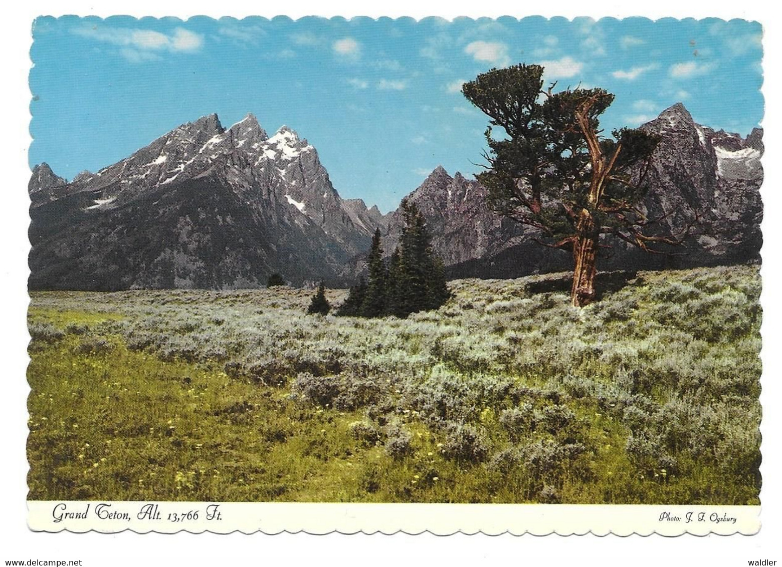 WY - WYOMING  --  YELLOWSTONE - GRAND TETON - Yellowstone