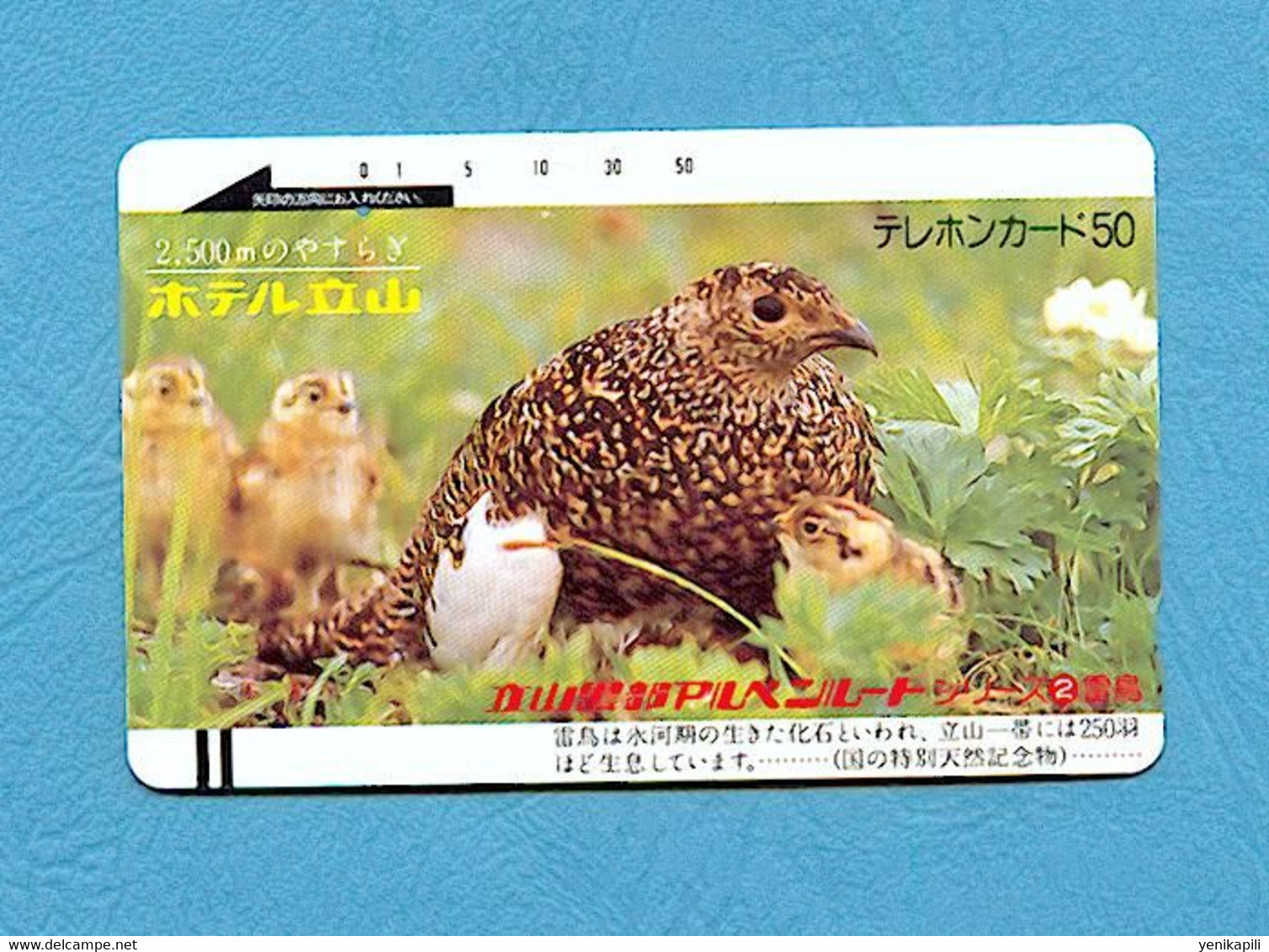 ( 5683 ) -  Télécarte  JAPON - Ancienne - Animal - ( PERDRIX Avec Ses Poussins ) - *** TBE ***  - Voir Scan - - Dschungel