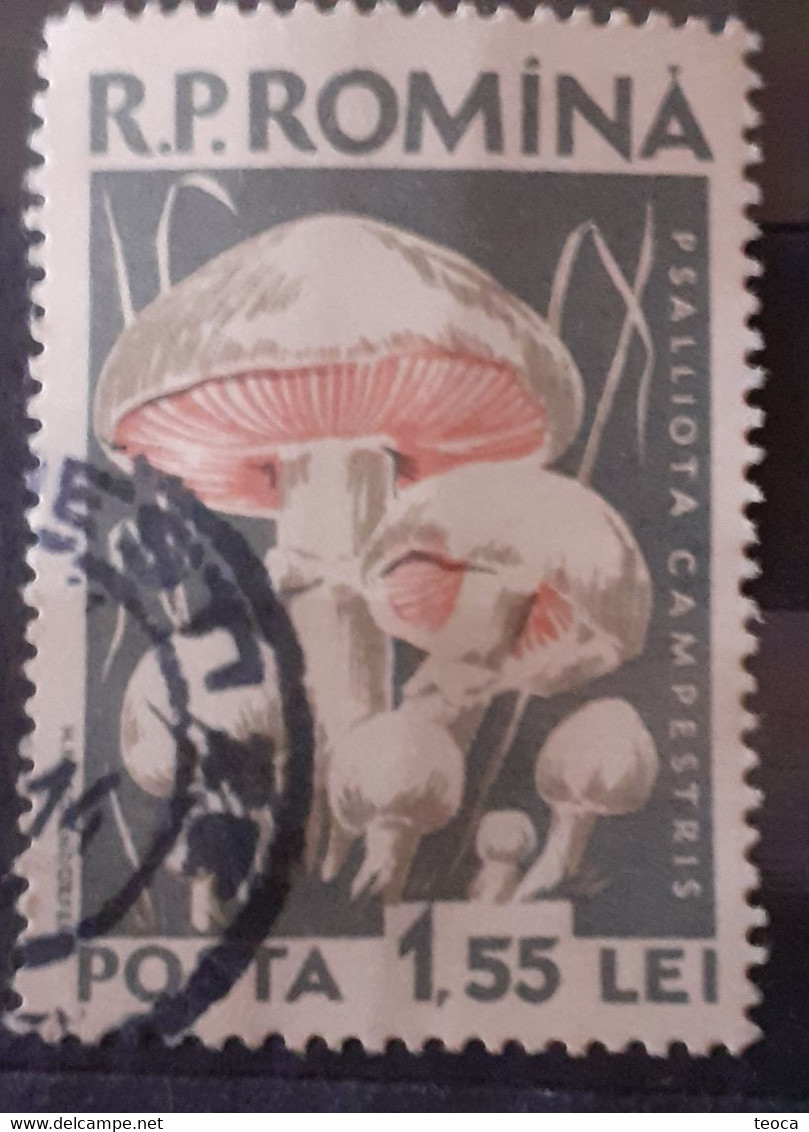 Errors Romania 1958 Mi 1728 Mushrooms Printed With Watermark  Horizontal Line  Used - Abarten Und Kuriositäten