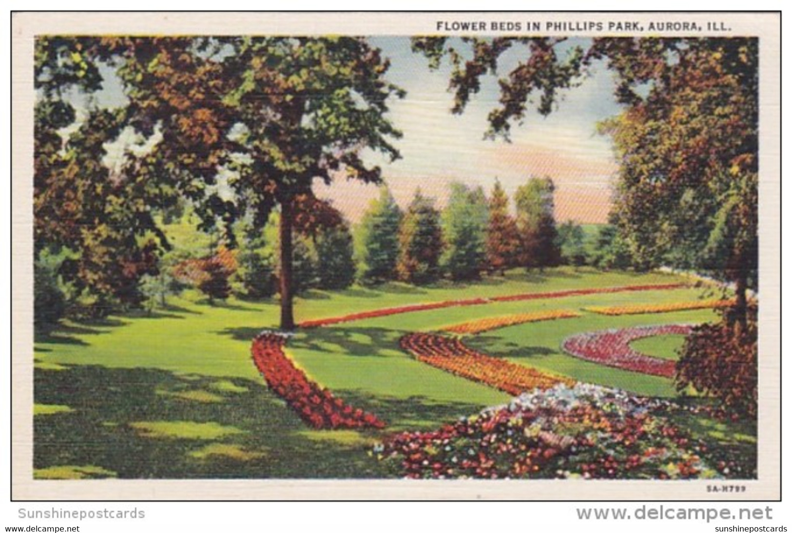 Illinois Aurora Flower Beds In Phillips Park Curteich - Aurora (Ilinois)