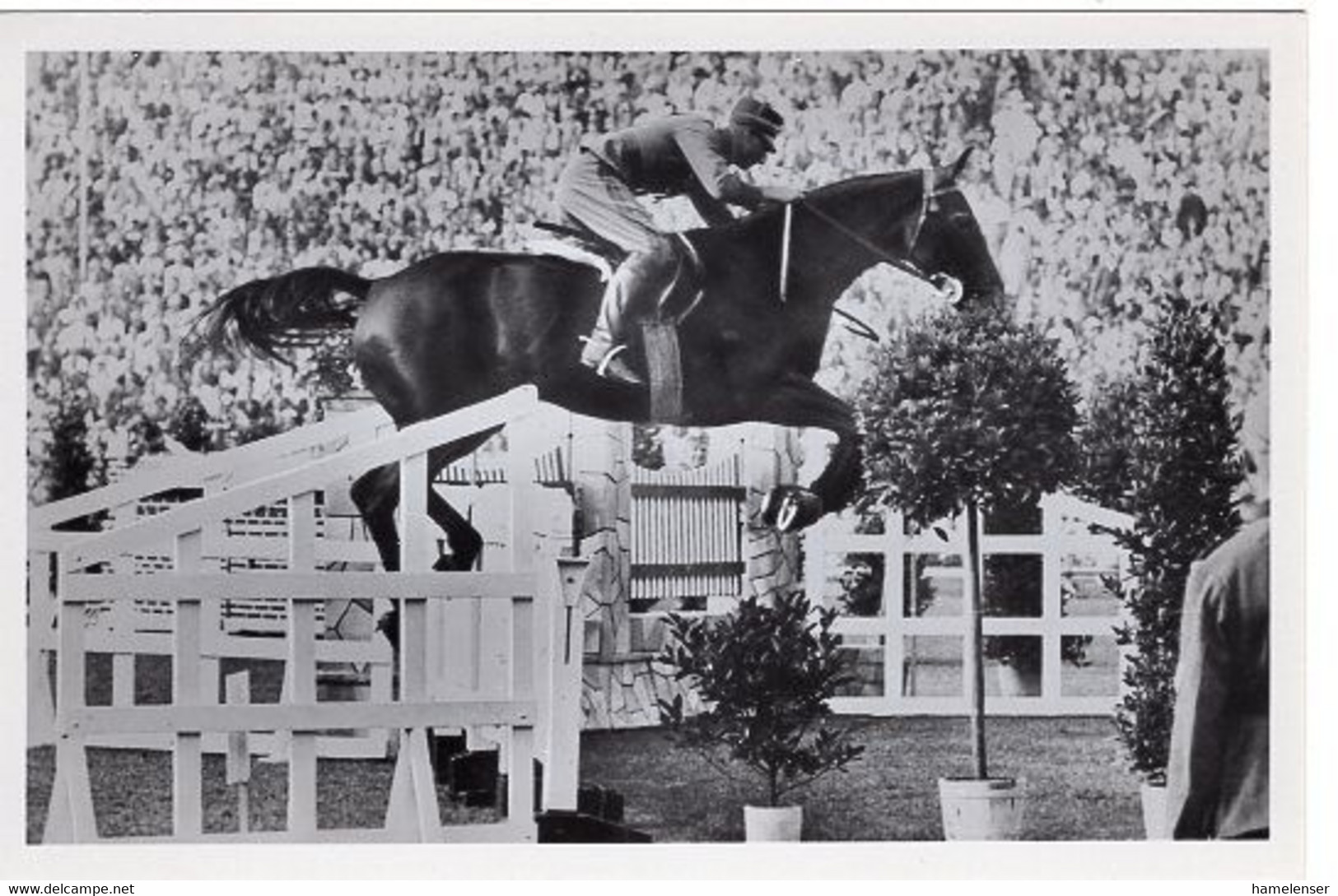 51769 - Deutsches Reich - 1936 - Sommerolympiade Berlin - Norwegen, "Felicia" Unter Oberleutnant Skougaard - Hippisme