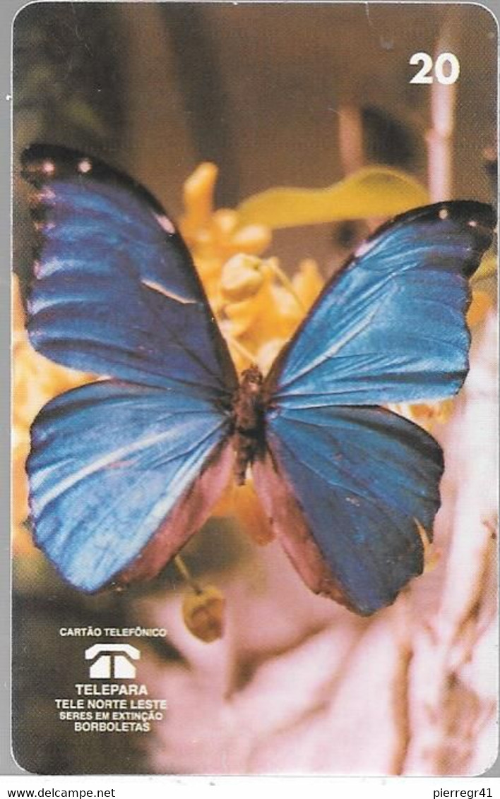 CARTE-MAGNETIQUE-BRESIL--PAPILLON-BLEU-Morpho Menelaus -TB E- - Papillons