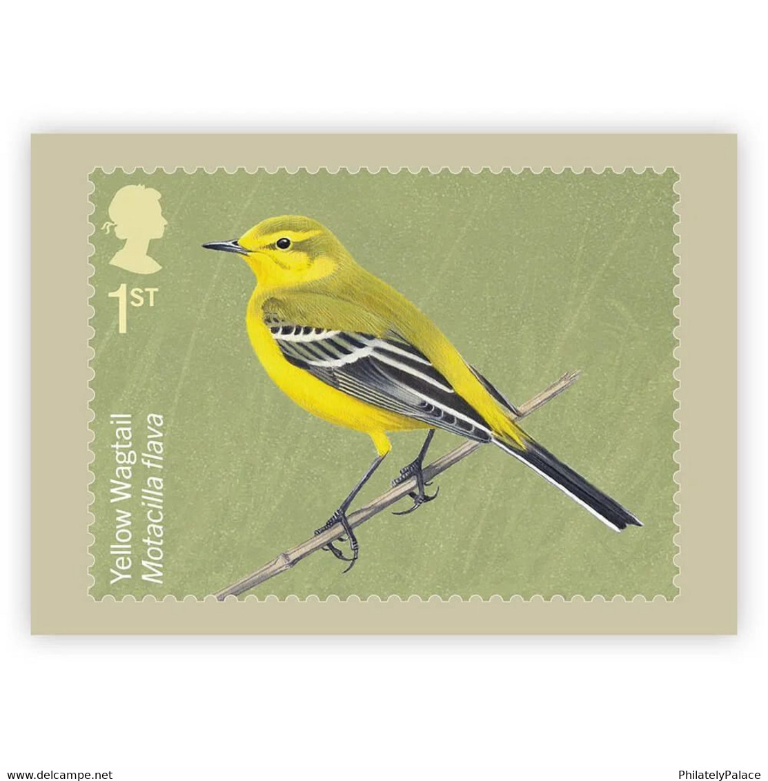 GB UK New *** 2022 Migratory Birds , Fauna, Animal, 10V Postcards MNH (**) - Non Classés