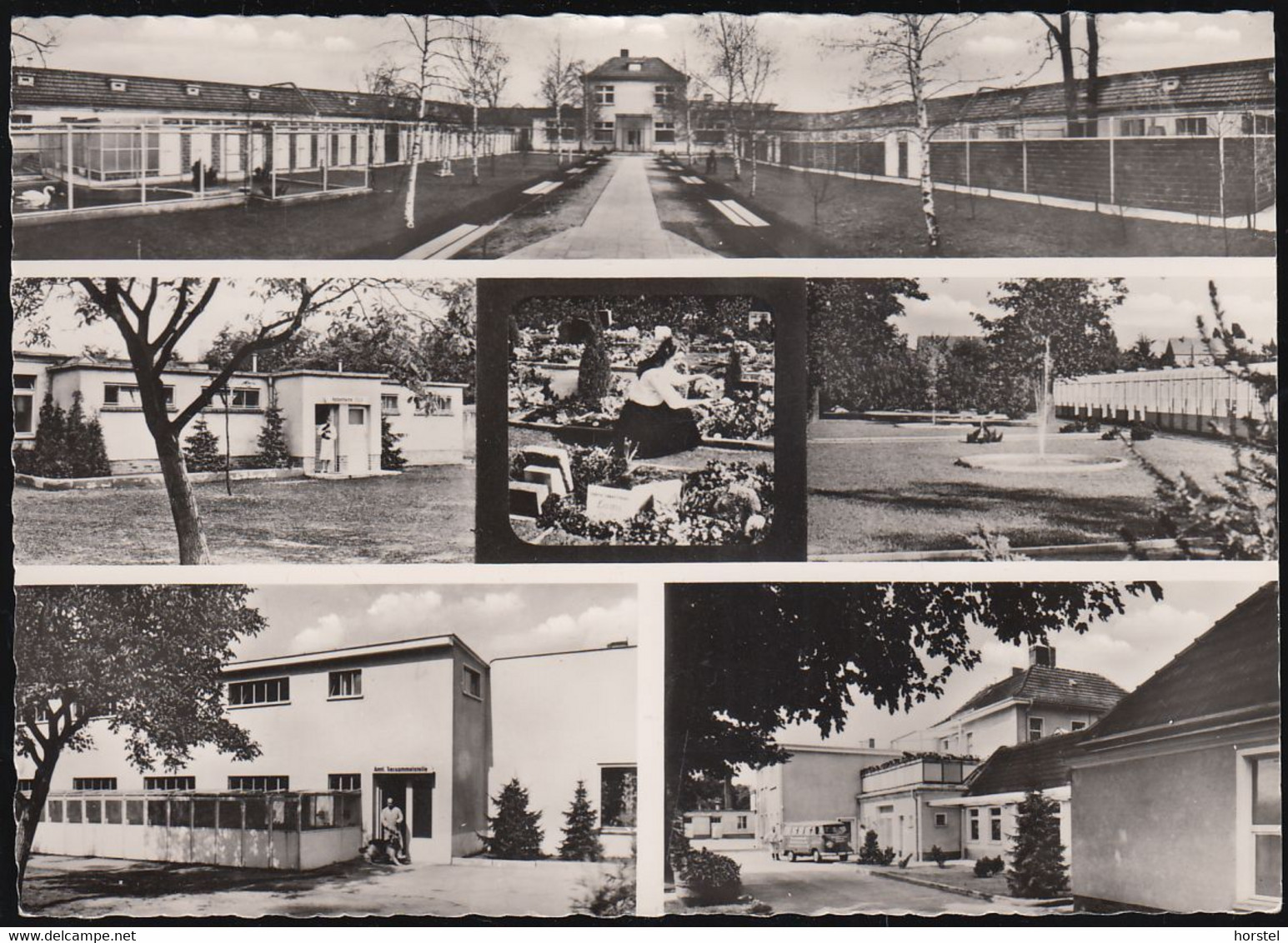 D-12249 Berlin - Tierheim Lankwitz (bis 2001) - Ansichten - Car - VW Bus ( Echt Foto) - Lankwitz