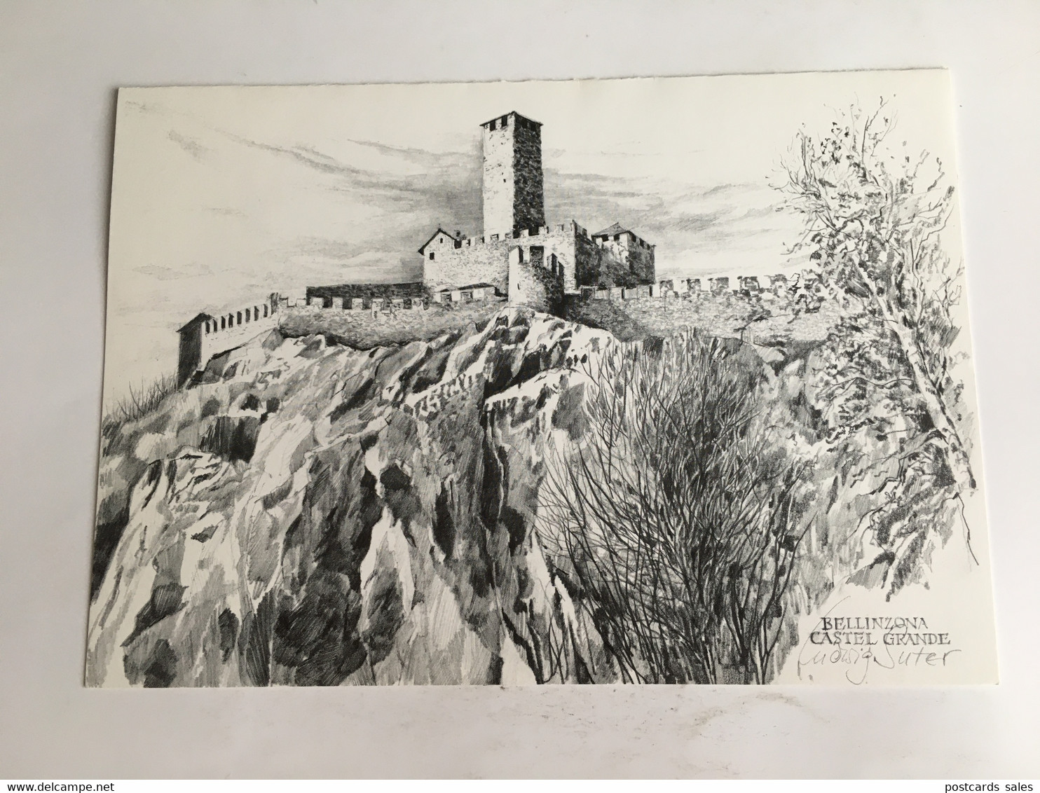 Verein Festungsmuseum Reuenthal - Castell Grande Bellinzona Ludwig Suter - Thal