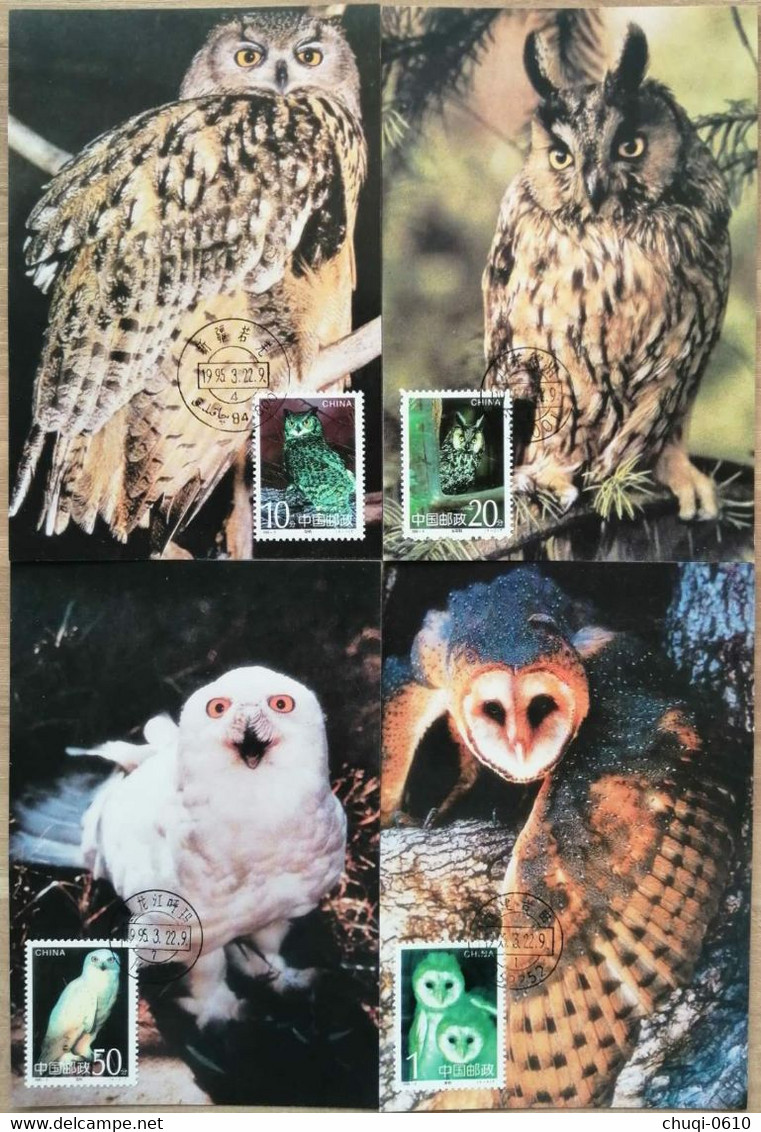 China Maximum Card,1995,  MC-20 Owl,4 Pcs - Cartes-maximum