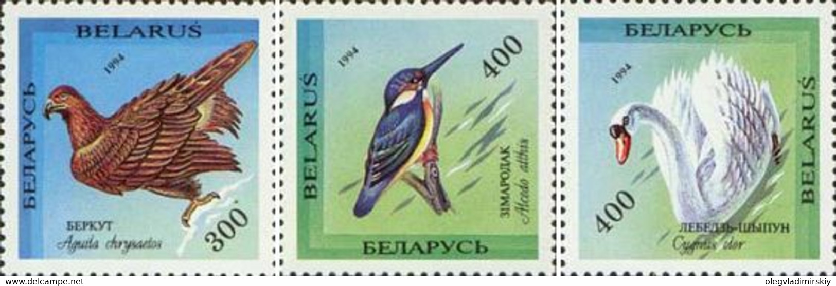 Belorussia Belarus 1994 Birds From The Red Book Of Belorussia Set Of 3 Stamps Mint - Cisnes