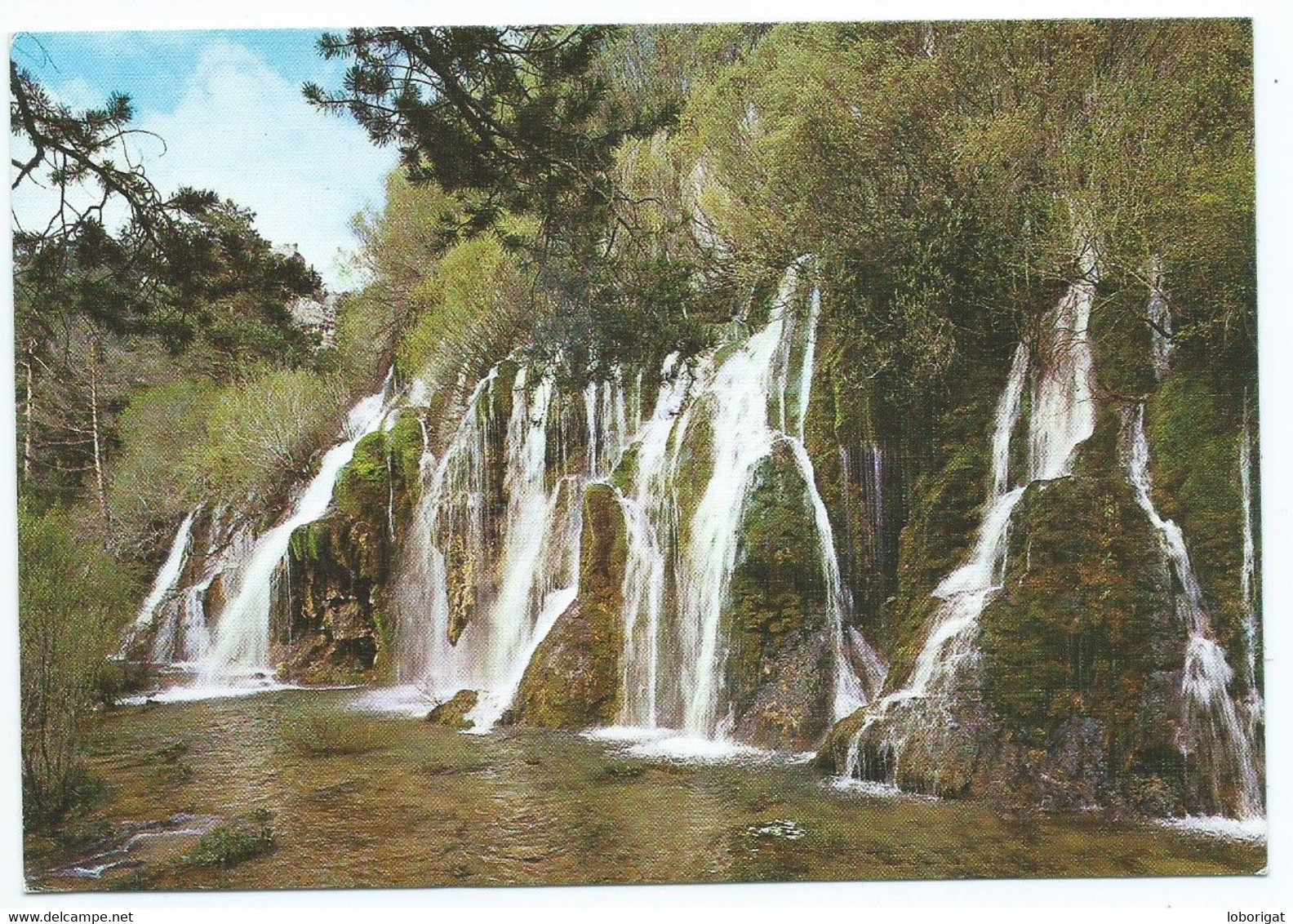 NACIMIENTO DEL RIO CUERVO.-  CUENCA.- ( ESPAÑA ). - Cuenca