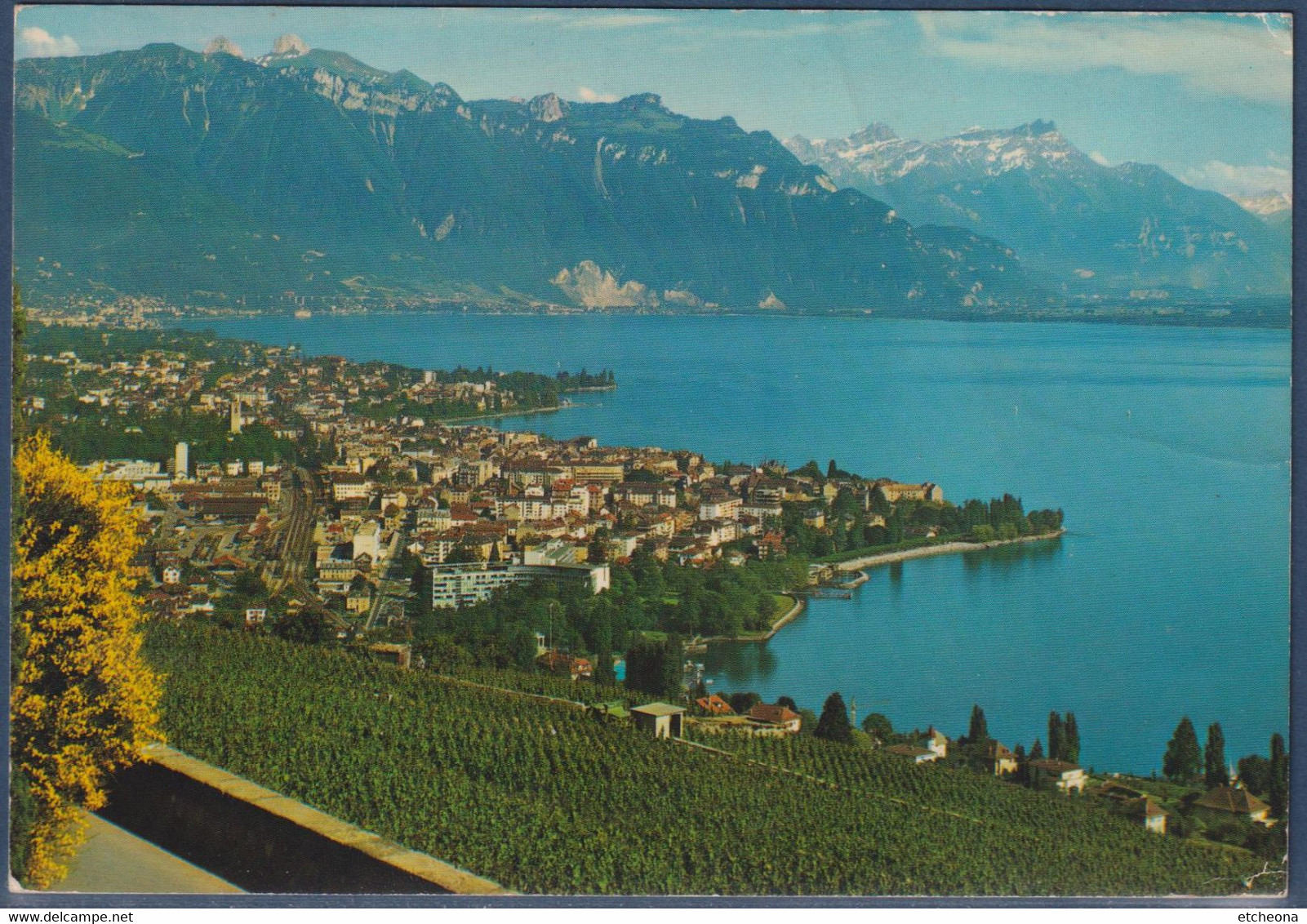 De Chardonne, Vue Sur Vevey, La Tour De Peilz Et Les Alpes Vaudoises. 1 Timbre Jongny 17.3.80 Lac Léman - Chardonne