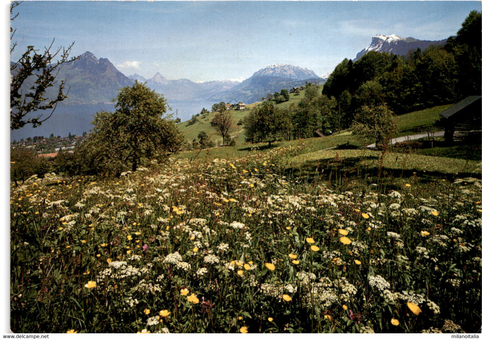 Beckenried, Rigi-Hohfluh * 9. 10. 1987 - Beckenried