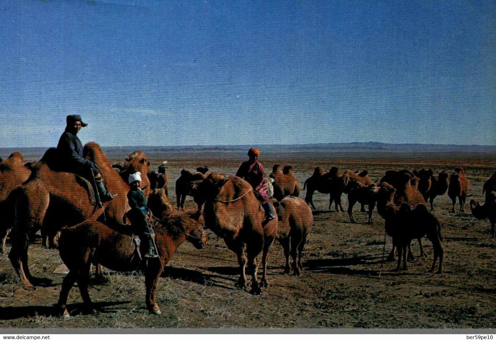 MONGOLIA SOUTH GOBI AIMAK A CAMEL BREEDER - Mongolia