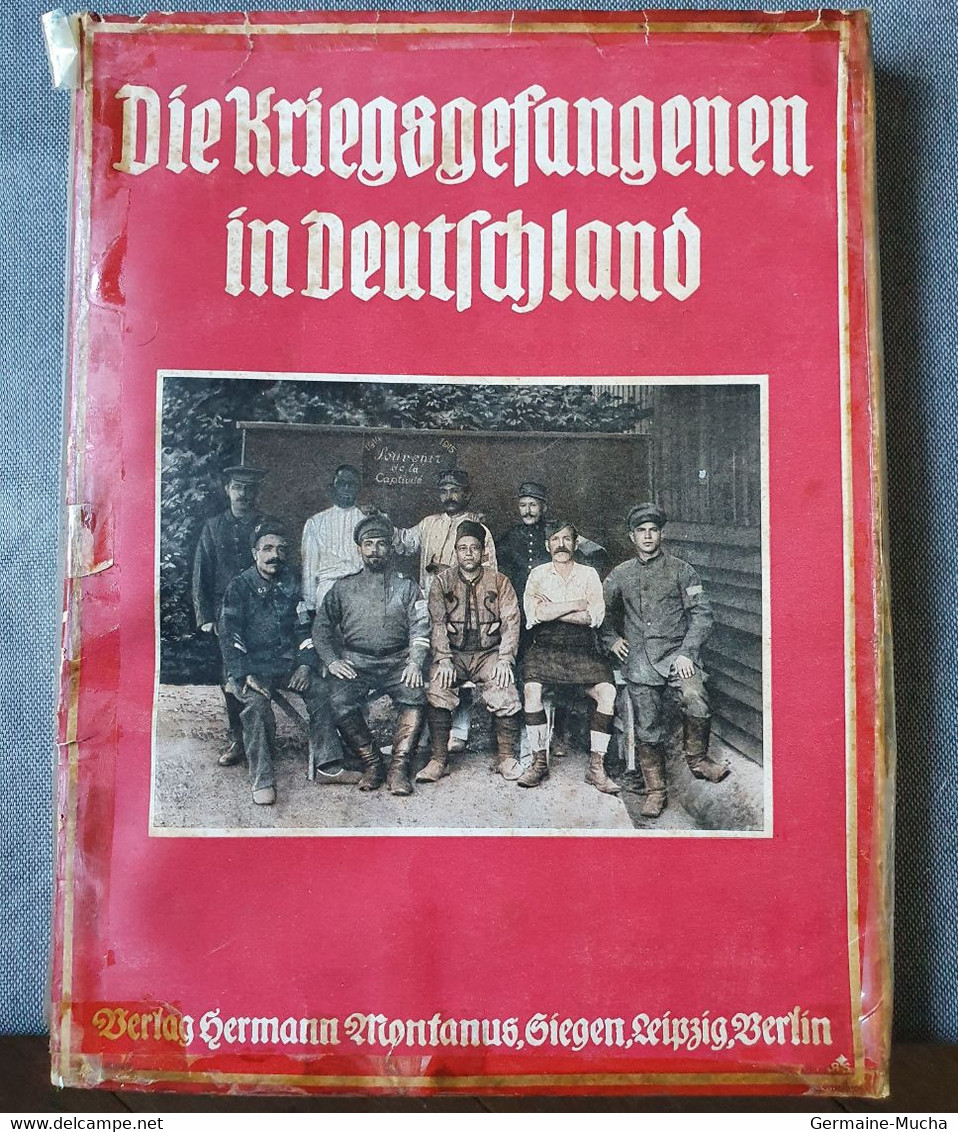 Livre DIE KRIEGSGEFANGENEN IN DEUTSCHLAND - 5. Zeit Der Weltkriege