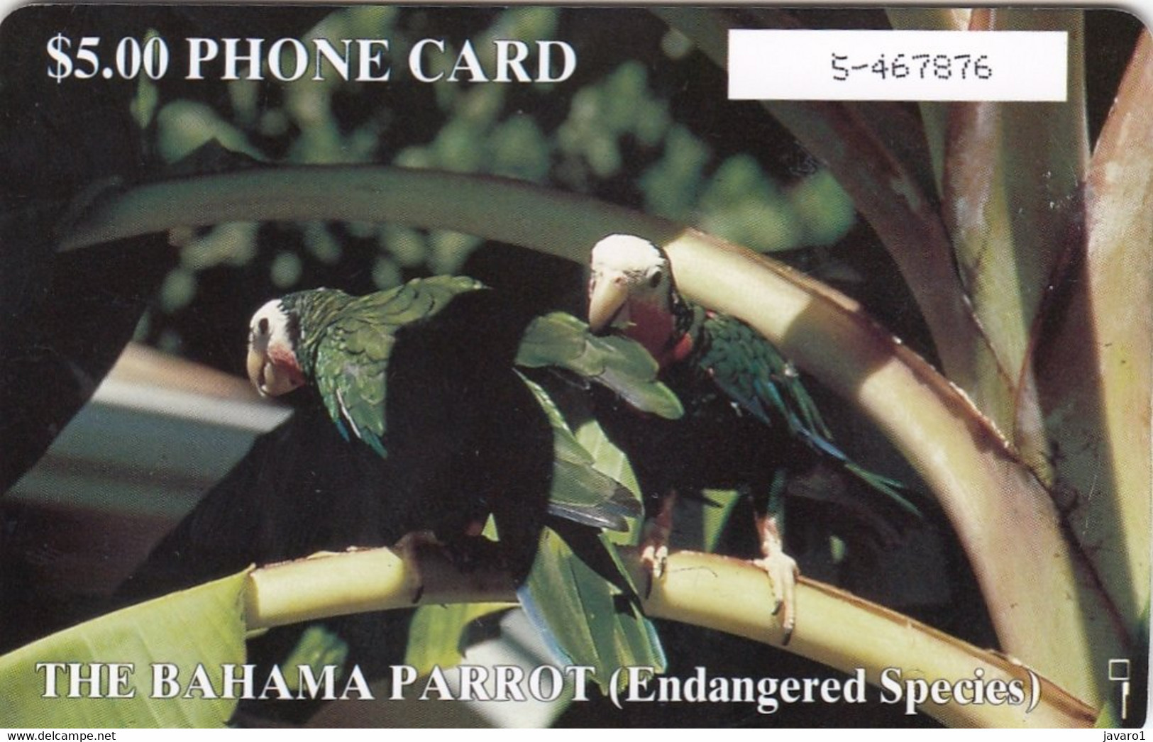 BAHAMAS : BAH05C $5  THE BAHAMA PARROT (white Moreno) USED - Bahama's