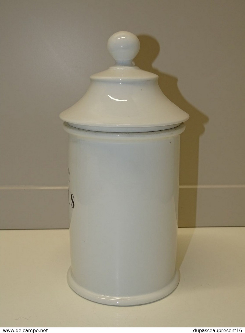 * ANCIEN POT Style PHARMACIE PORCELAINE BLANCHE De LIMOGES Ext. : RUSCUS DECO E - Limoges (FRA)